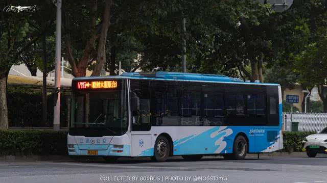 苏A E6531