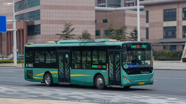 鲁B Y5872