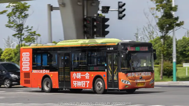 苏H 17856