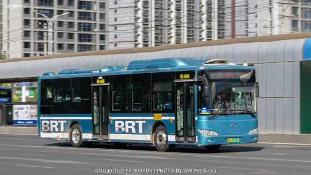新A 22786F