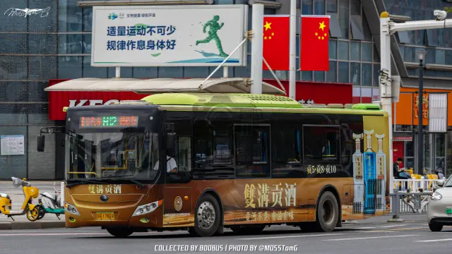 800BUS