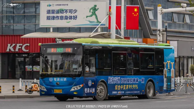 800BUS