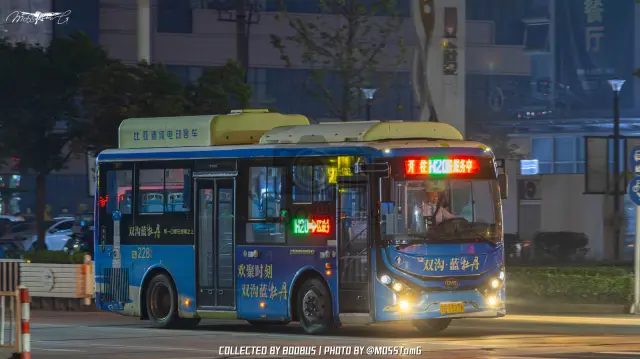 800BUS