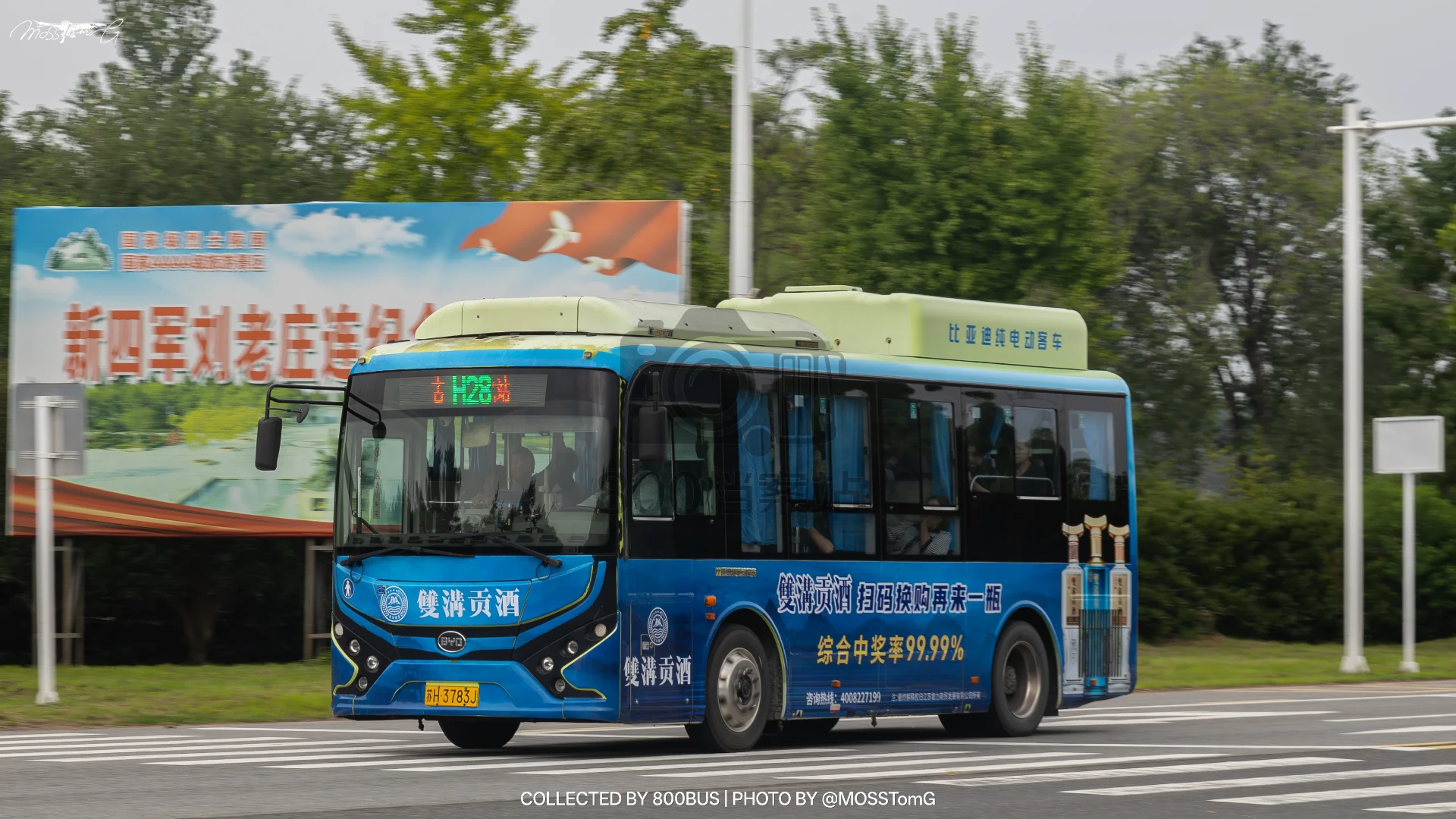 Bus Archive