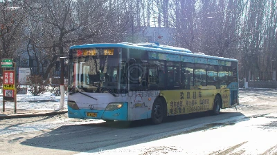 辽C C0290