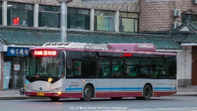 冀H Z1811