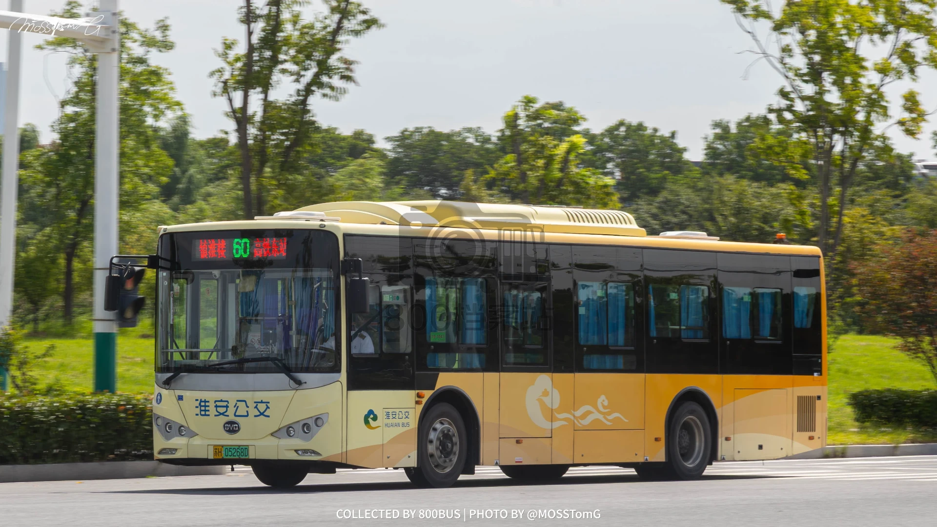 Bus Archive
