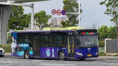 苏H 17113