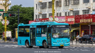 苏A G8691