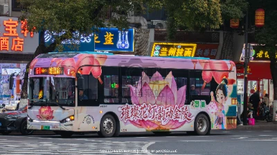 苏A 01917D