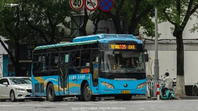 800BUS