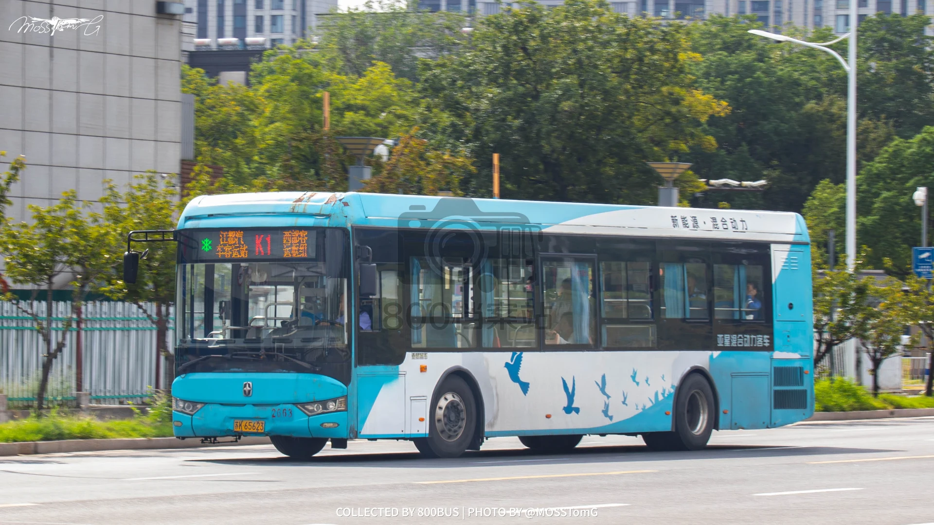 Bus Archive