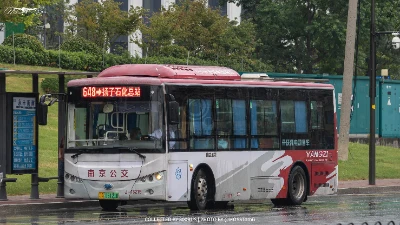800BUS
