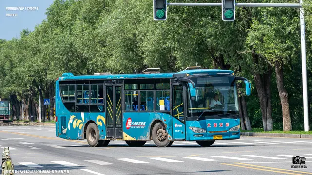 800BUS