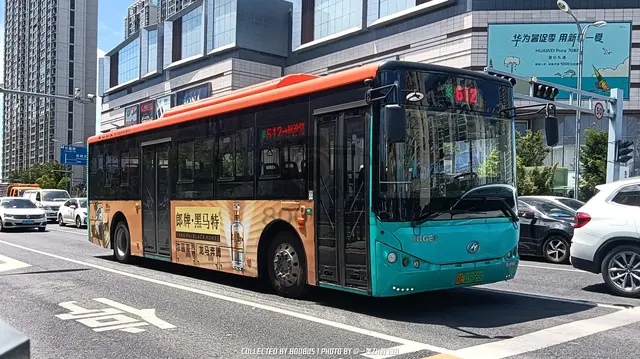 苏E 03956D