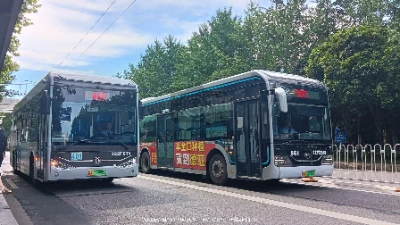 鄂A 17293F