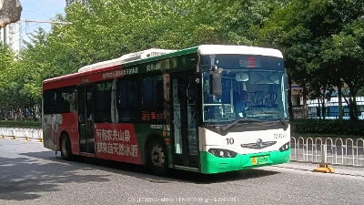 鄂A 10595D