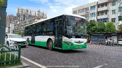 鄂A 11731D