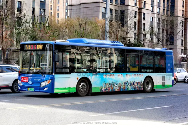 800BUS