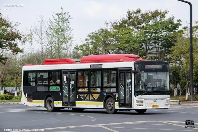川A P9952