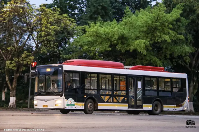川A P9975