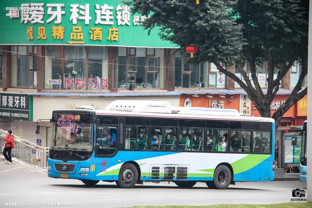 800BUS
