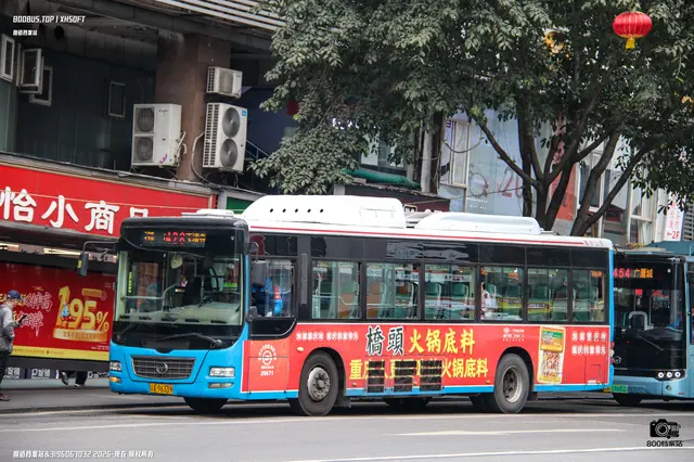 800BUS