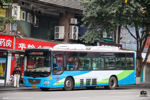 800BUS
