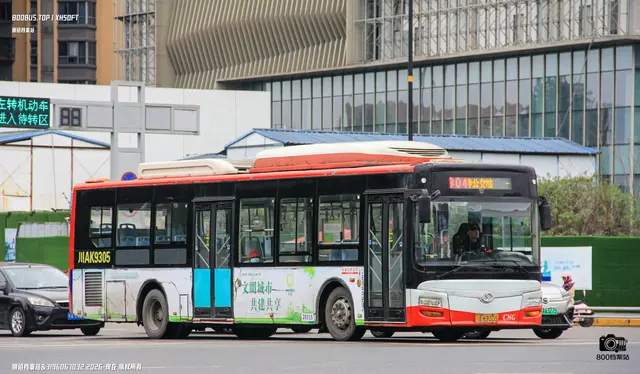 800BUS