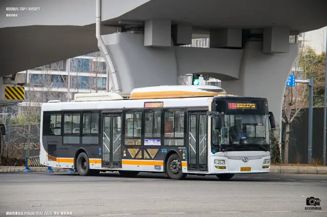 川A Q0229