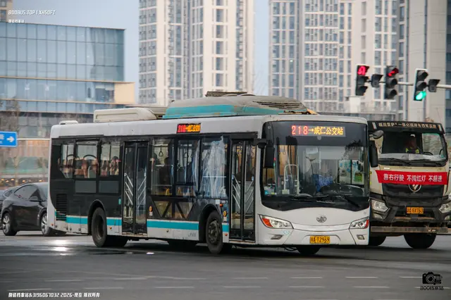 川A T2969