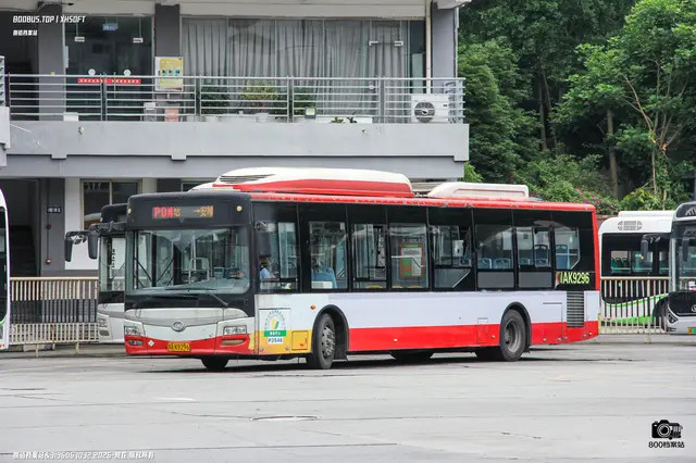 800BUS
