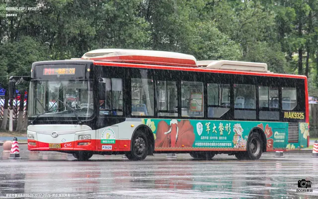 800BUS