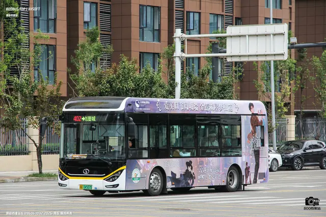 800BUS