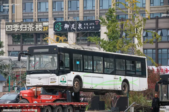 800BUS