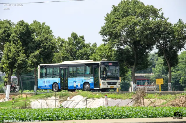 川A Q7986