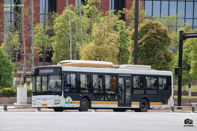 川A Q0205