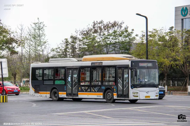 川A P9931