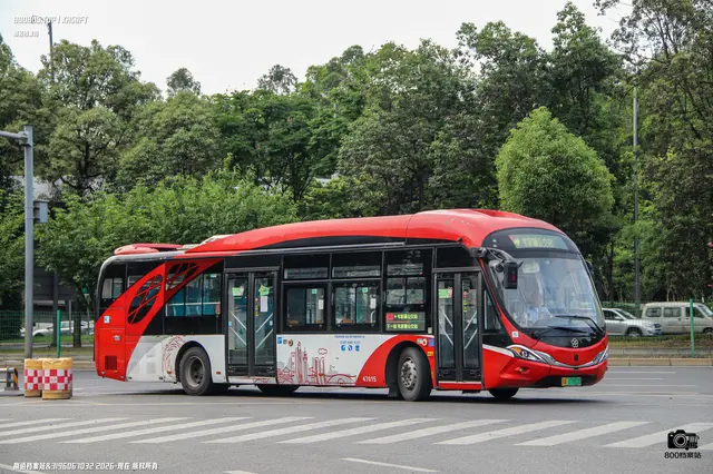 800BUS