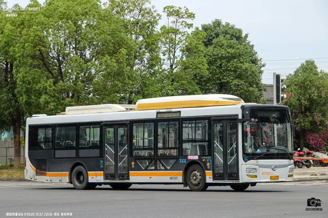 800BUS
