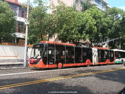 鄂A 519CZ