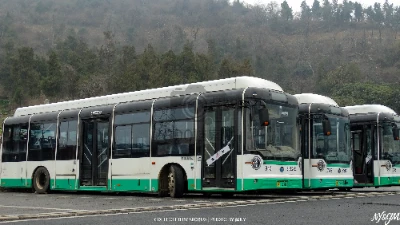 鄂A12651D