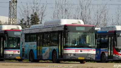 鄂A BT437