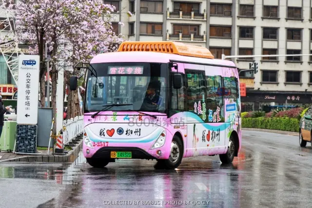 桂B 14932D