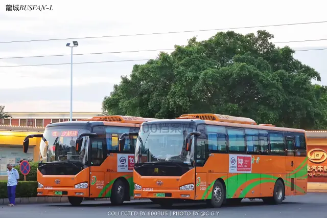 桂B 04609D