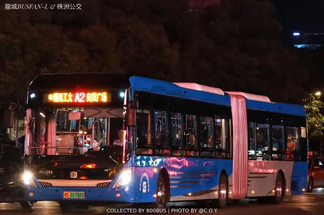 湘B 01788D