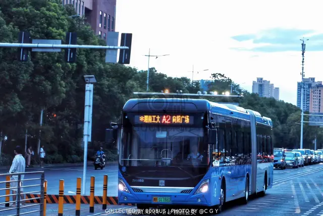 湘B 01788D