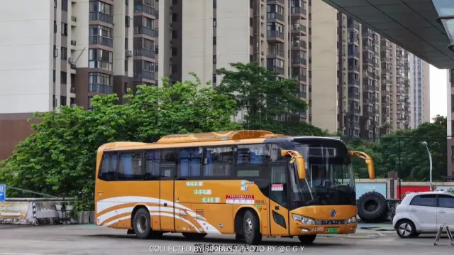 桂B 14550D