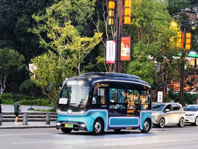 湘D 07020D