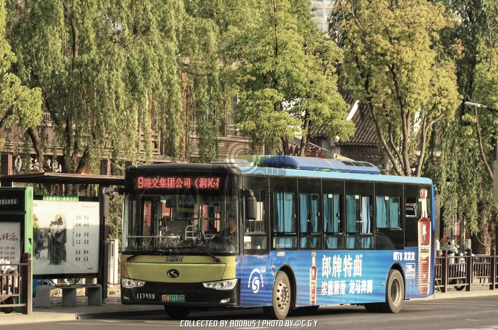 Bus Archive